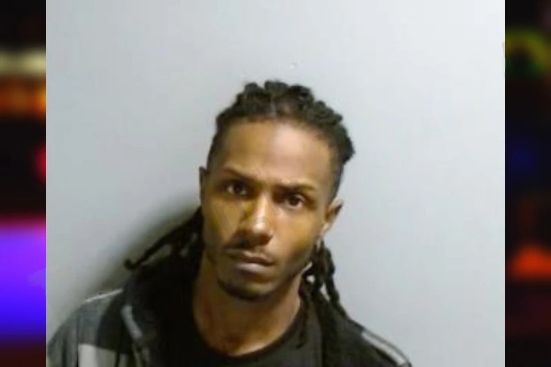 Danielle Smith mugshot – Fulton County , Georgia Danielle Smith mugshot