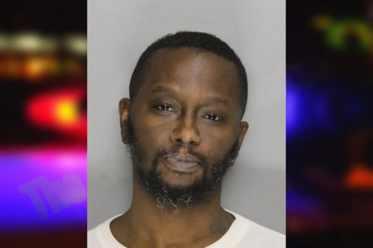 Danyne Brown mugshot – Cobb County , Georgia Danyne Brown