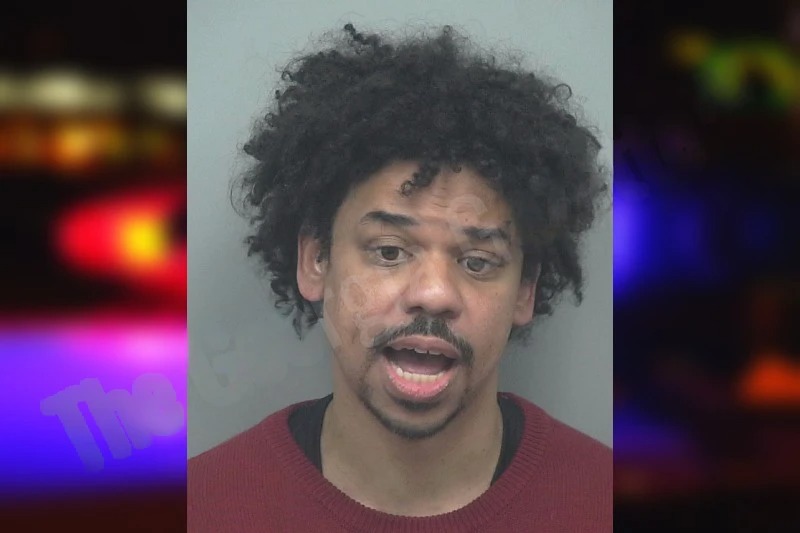 Darce Stelly Mugshots