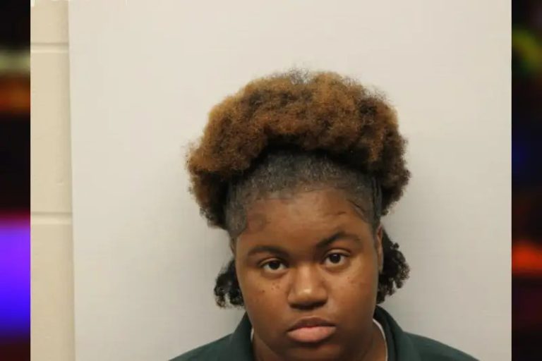 Dariah Holsey mugshot – Chatham County , Georgia Dariah Holsey