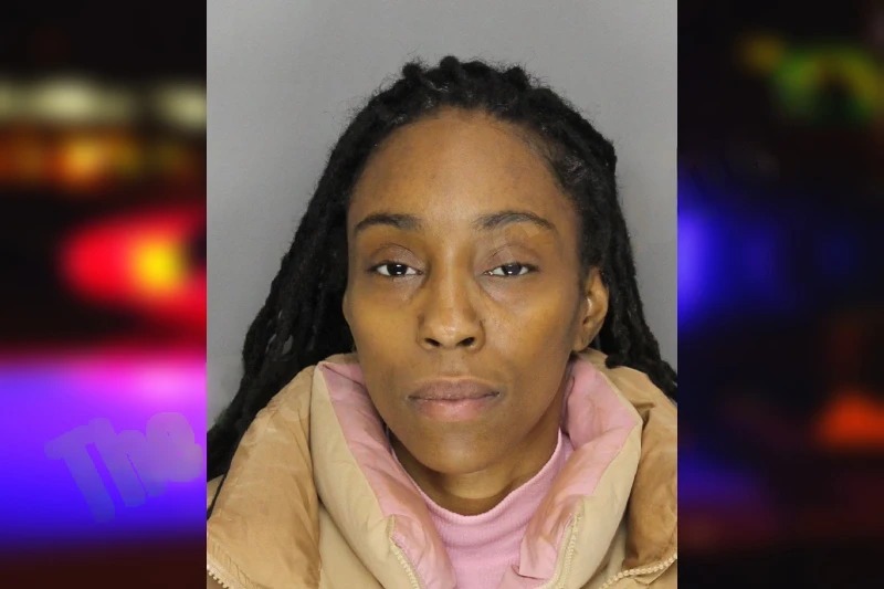 Darielle Smith Mugshots