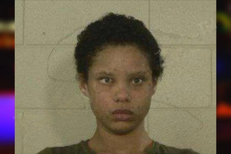 Darien Wilds mugshot – Liberty County , Georgia Darien Wilds mugshot