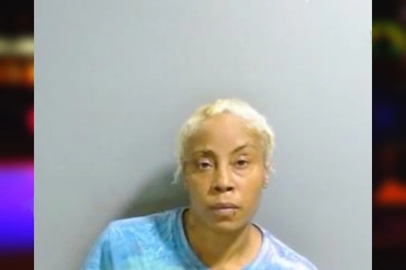Darnette Vincent mugshot