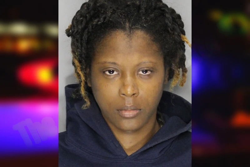 Dasia Driggers Mugshots