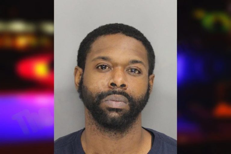 David Brisby mugshot – Cobb County , Georgia David Brisby