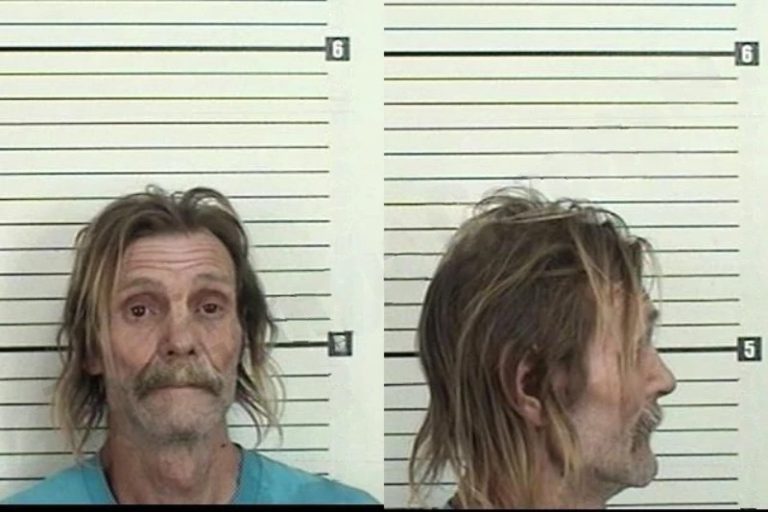 David Seley mugshot – Camden County , Georgia David Seley