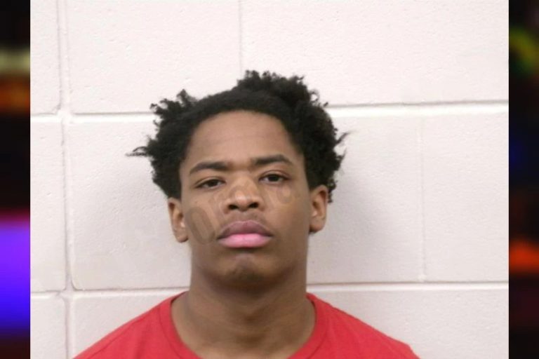 David Snelling mugshot – Bulloch County , Georgia David Snelling