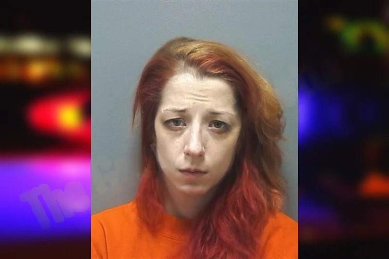 Dawn Laurens mugshot – Cherokee County , Georgia Dawn Laurens mugshot