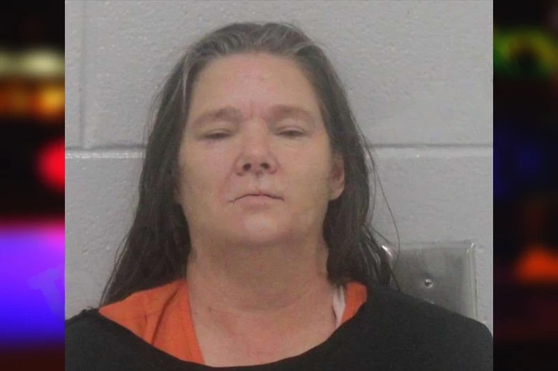 Dawn Neslein Mugshots