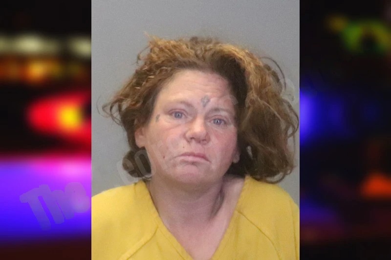 Dawn Wildridge Mugshots