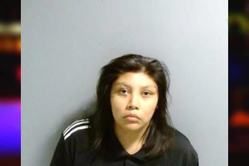 Dawnida Thomas mugshot – Fulton County , Georgia Dawnida Thomas mugshot