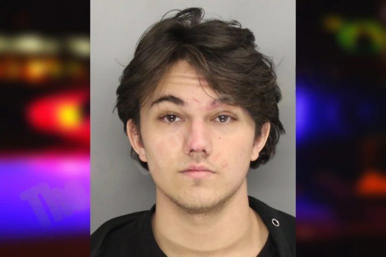 Daylon Richardson mugshot – Cobb County , Georgia Daylon Richardson