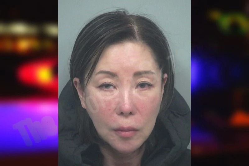 Dayun Park mugshot – Gwinnett County , Georgia Dayun Park mugshot