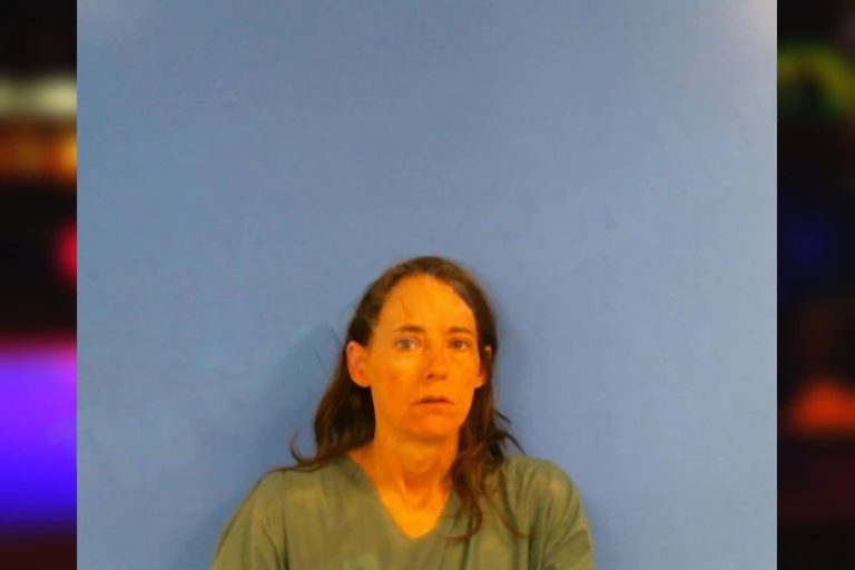 Debbie Hanson mugshot – Troup County , Georgia Debbie Hanson