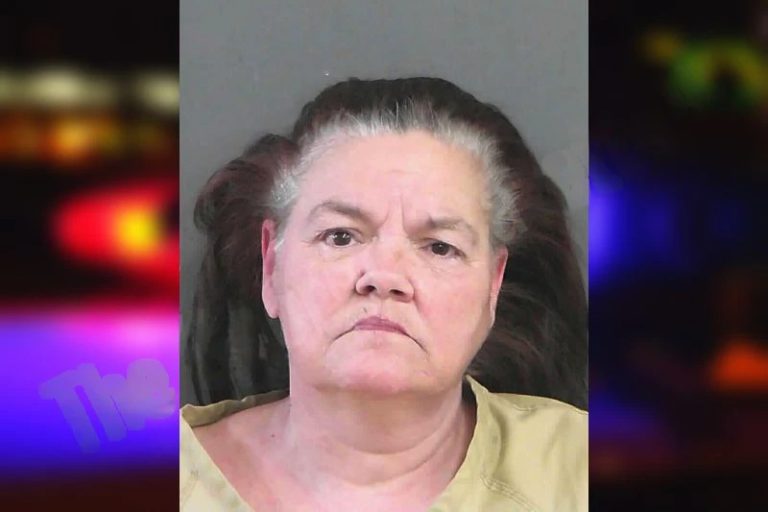 Deborah Laney mugshot – Gordon County , Georgia Deborah Laney