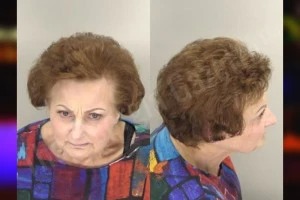 Deborah Lowry Mugshots