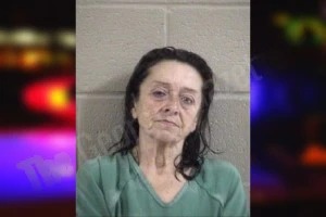 Deborah Sturgill mugshot