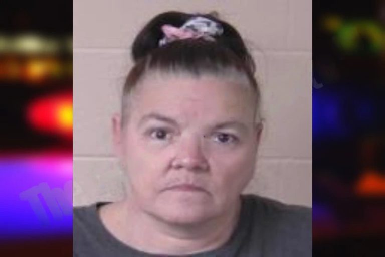 Debra Laney mugshot – Camden County , Georgia Debra Laney