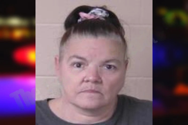 Debra Laney mugshot – Walker County , Georgia Debra Laney mugshot