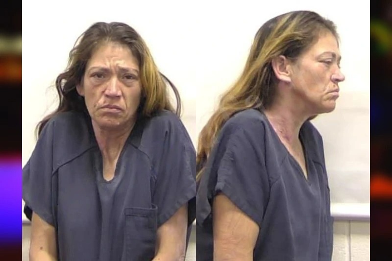Debra Warner mugshot