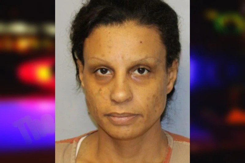 Delilah Gonzalez mugshot – Hall County , Georgia Delilah Gonzalez mugshot