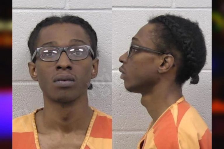 Demetree Hennis mugshot – Paulding County , Georgia Demetree Hennis