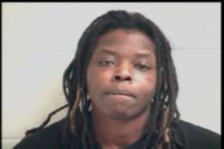 Denaysha Barnes mugshot – Henry County , Georgia Denaysha Barnes