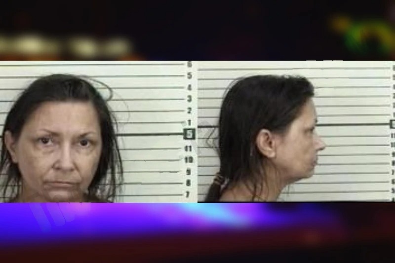 Denise Dixon mugshot