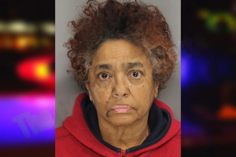 Denise Petersen mugshot – Cobb County , Georgia Denise Petersen mugshot