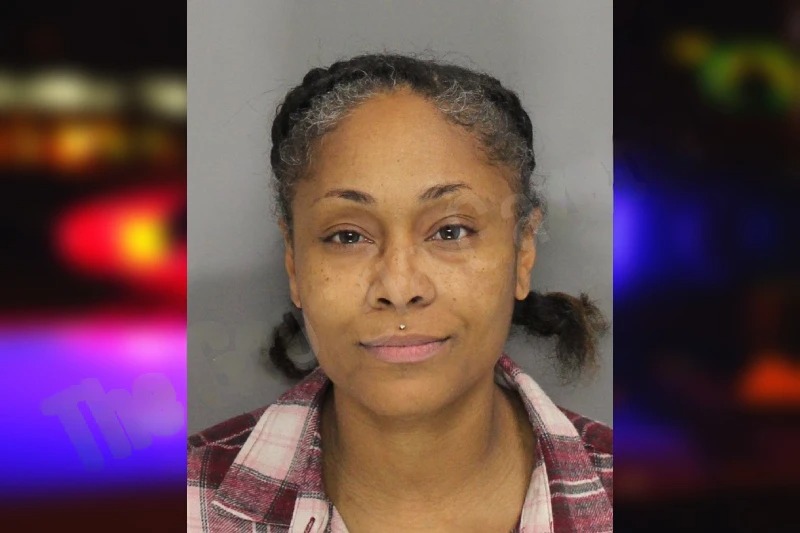 Deosha Watson mugshot – Cobb County , Georgia Deosha Watson mugshot