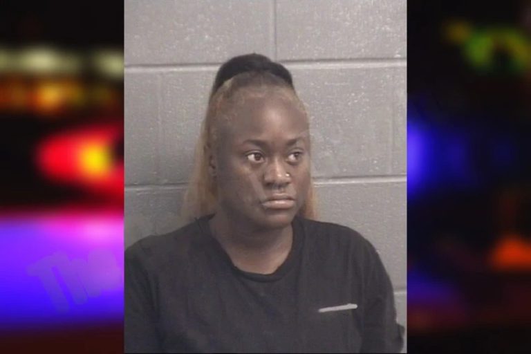 Derrimeshia Dennis mugshot – Spalding County , Georgia Derrimeshia Dennis