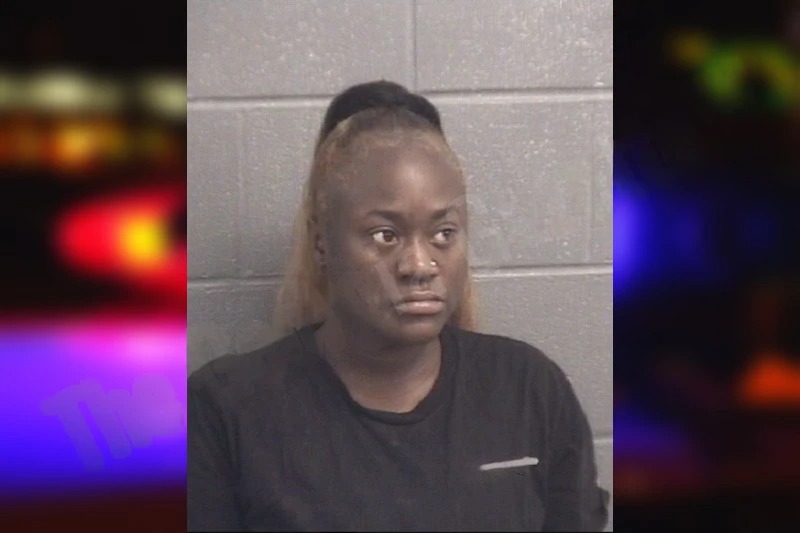 Derrimeshia Dennis mugshot