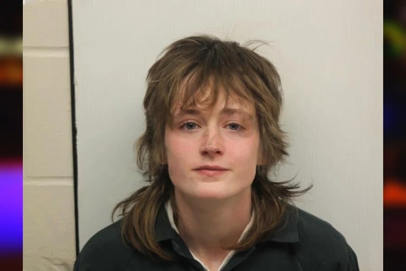 Desi Higgins Mugshots