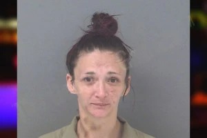Desirae Fordham Mugshots