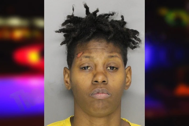 Desiree Pittman Mugshots