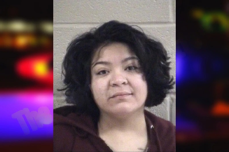 Desteny Palmerin mugshot – Whitfield County , Georgia Desteny Palmerin mugshot