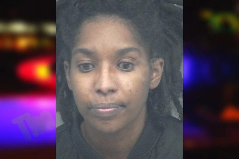 Destinee Colon mugshot – Cobb County , Georgia Destinee Colon