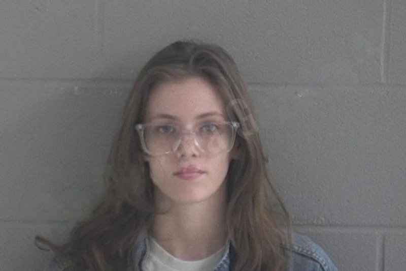 Destiny Johnson mugshot