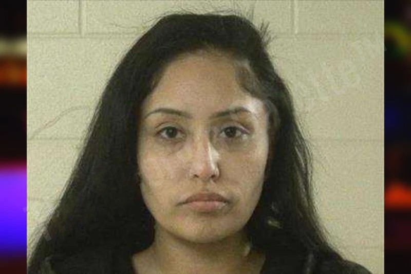 Destiny Yellow Horse mugshot