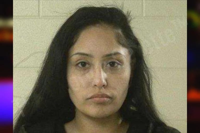 Destiny Yellow Horse mugshot – Liberty County , Georgia Destiny Yellow Horse