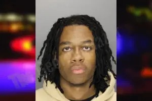 Devin Wilson mugshot