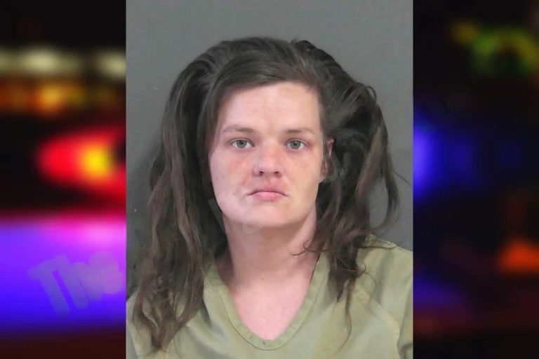 Diane Siffles mugshot – Gordon County , Georgia Diane Siffles