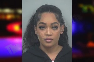 Dianna Wilson mugshot