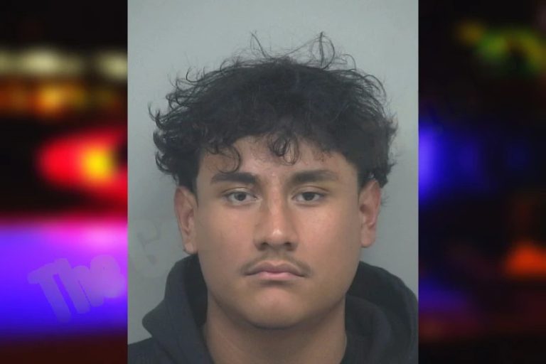 Diego Damian-Moreno mugshot – Gwinnett County , Georgia Diego Damian-Moreno