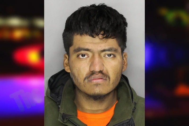 Diego Sanchez mugshot