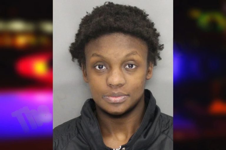 Dikadrian King mugshot – Cobb County , Georgia Dikadrian King