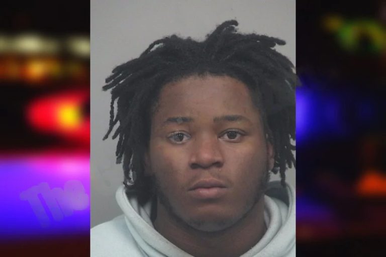 Diore Wynter mugshot – Gwinnett County , Georgia Diore Wynter