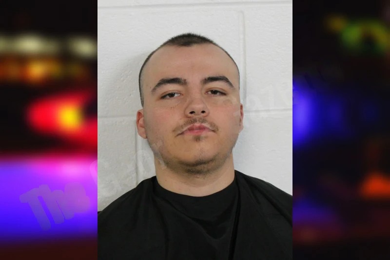 Divine Valle Mugshots