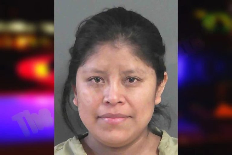 Dominga Simaj mugshot – Gordon County , Georgia Dominga Simaj