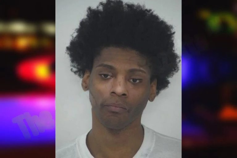 Dominique Haynes mugshot β Fayette County , Georgia Dominique Haynes